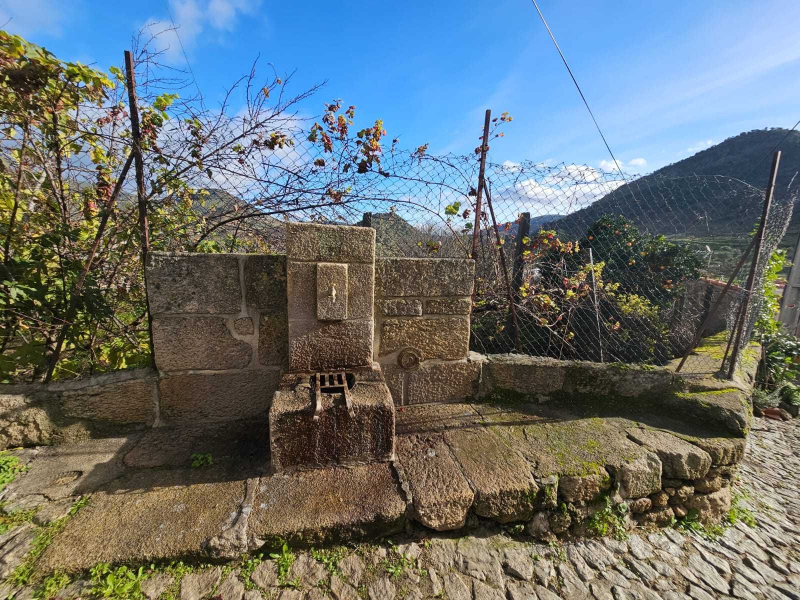 Douro Vinhateiro- Casa da Quelha (férias) (vacation rental)