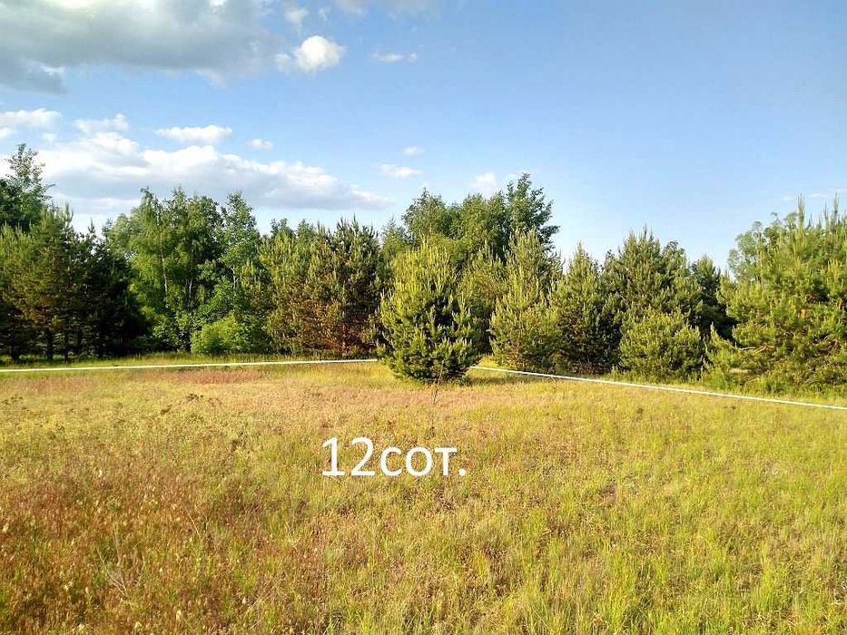 Недорого.Продам ділянку 12сот.неподалік від Києва,в с.Колонщина.