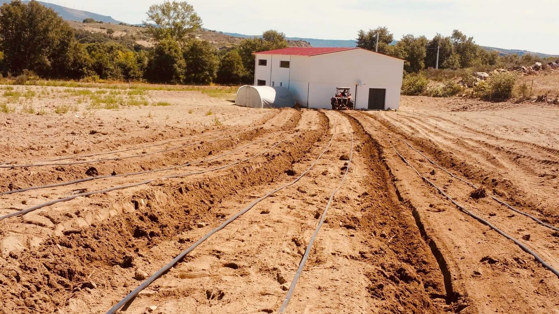 Terreno Agrícola *Certificado Biológico* c/ Armazém  - 3hec