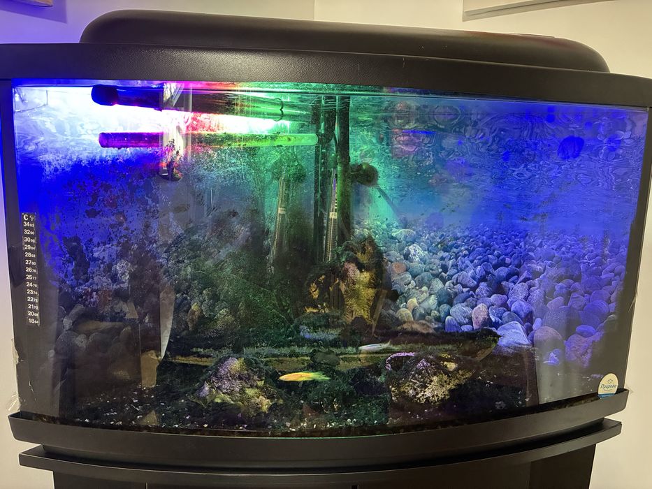 Функціонуючий акваріум