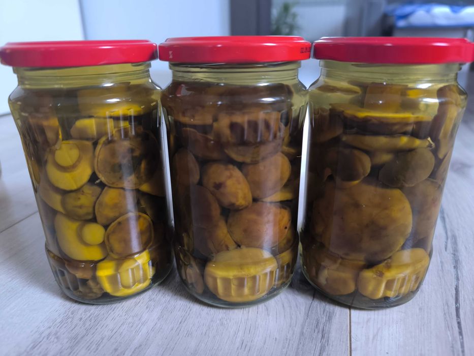 Sprzedam grzyby suszone i marynowane