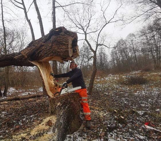 Koszenie nieużytków , zarośla, wysokie trawy, wycinka samosiejek