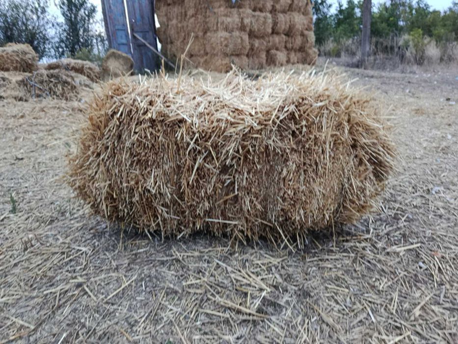 Продам солому 100грн