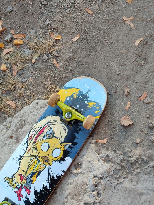 Скейт в б/у состоянии