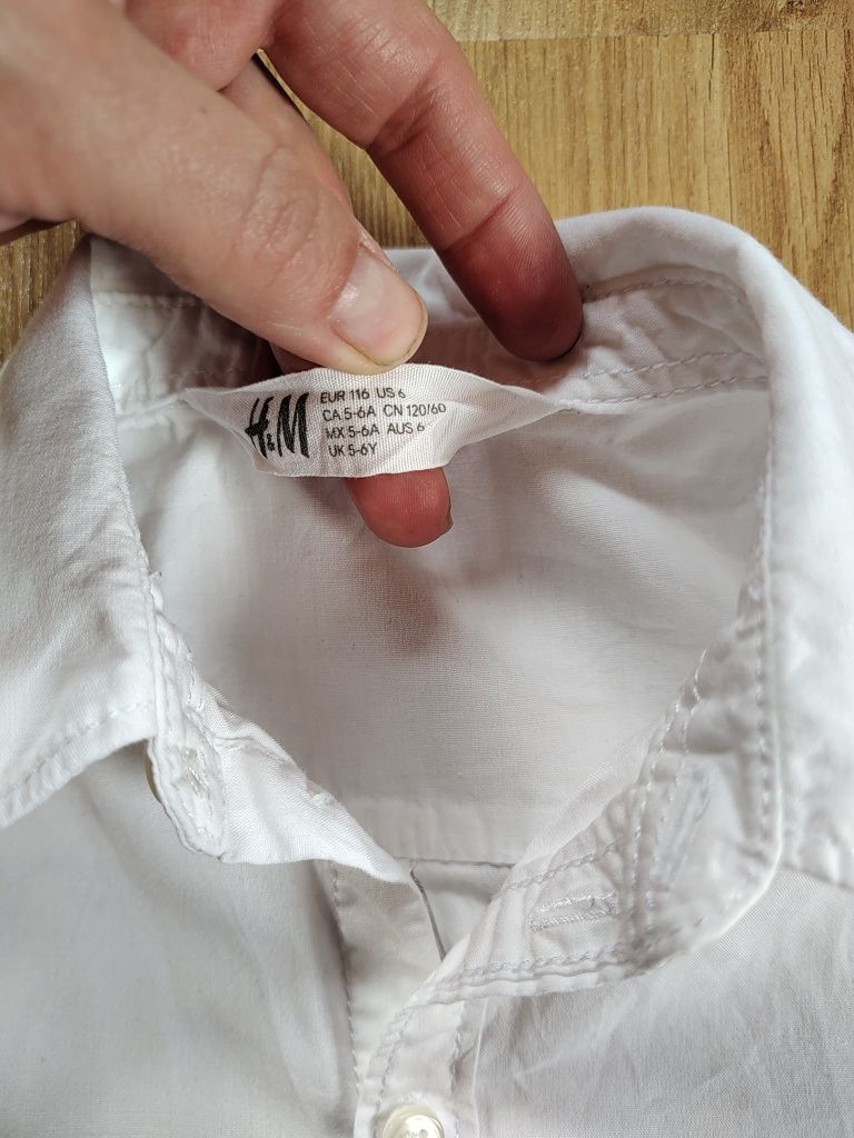 Biała koszula H&M 116