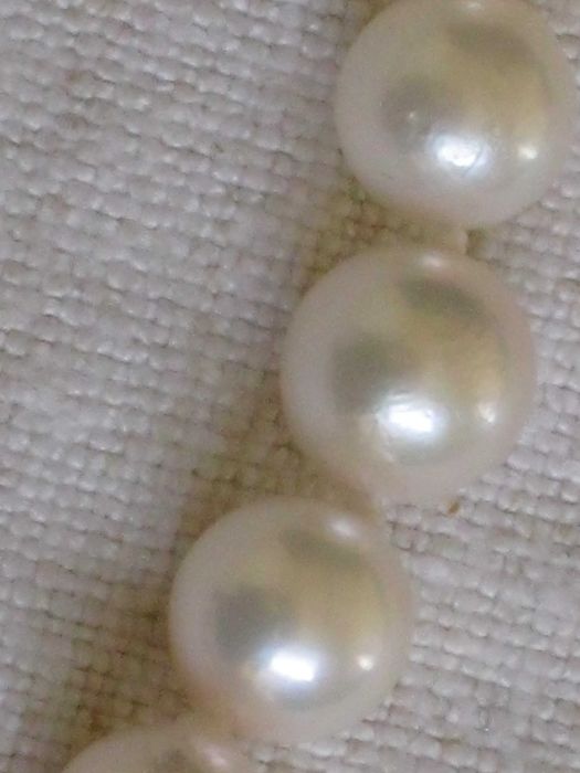 Colar de Perolas Cultura Mar 7mm c/Fecho em Ouro 19,2 kt