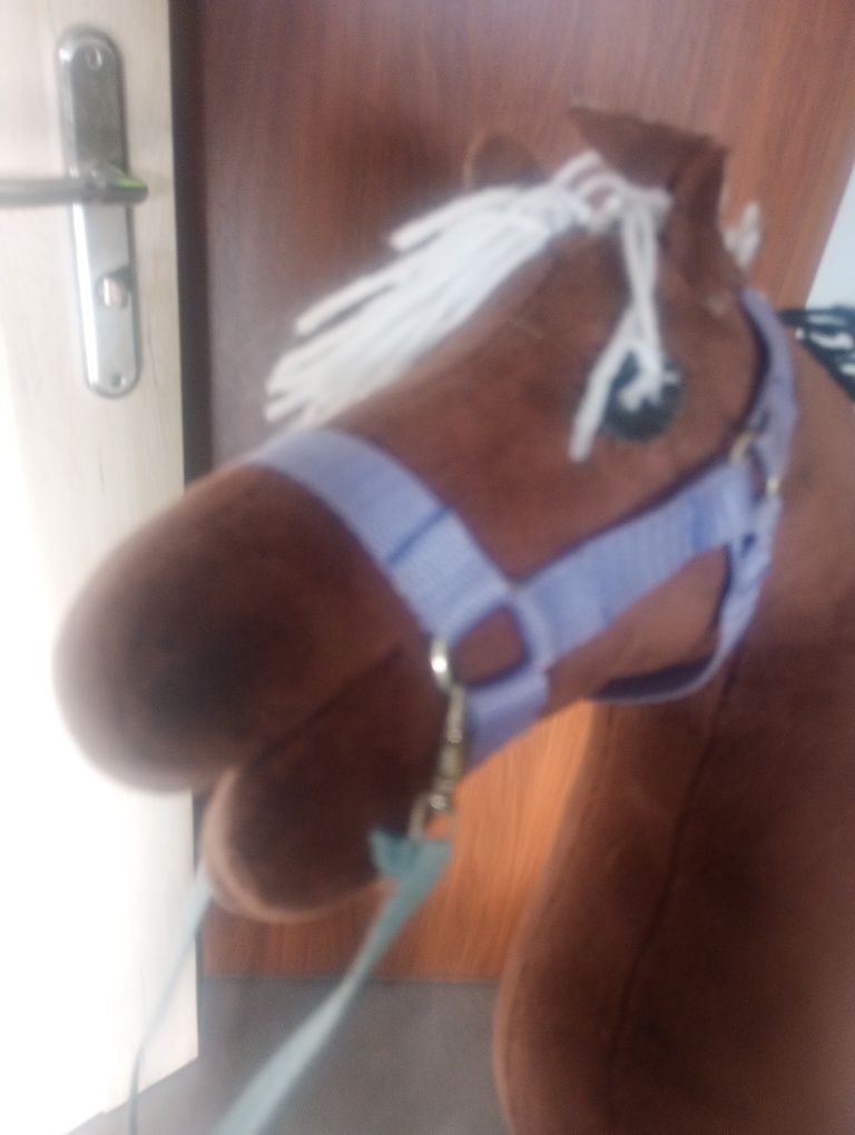 Hobby horse Rasa Fjord