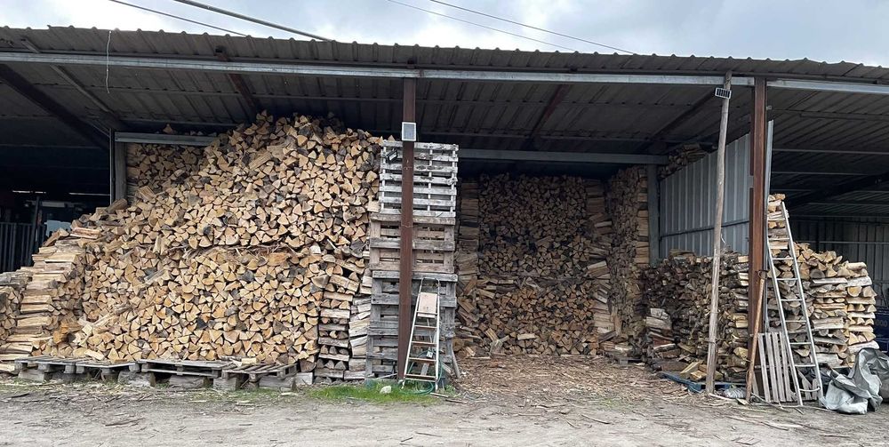 Lenha de eucalipto cortada