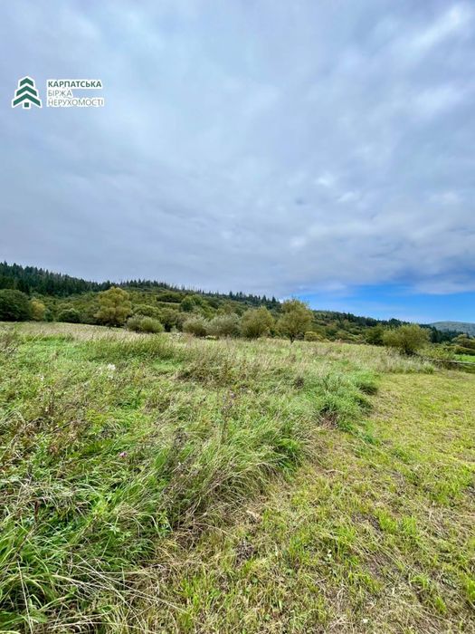 Земельна ділянка в селі Річка