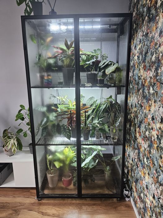 Witryna dla roslin Rowdcrafts robiona na zamówienie loft szklarnia