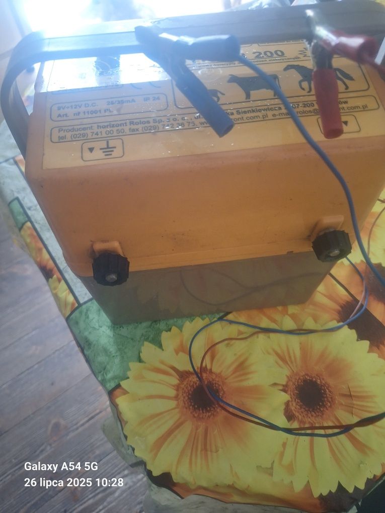 Pastuch elektryczny