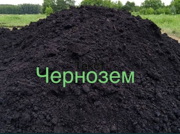 Плодородный Чернозем навалом и в мешках . Гарантия качества 100%.