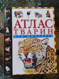 Атлас тварин велика книга з малюнками