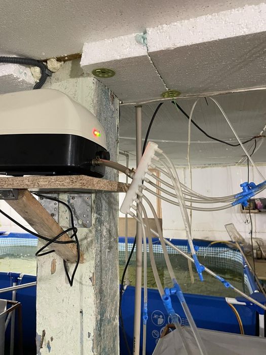 Ціну знижено!!!Продам готовий бізнес