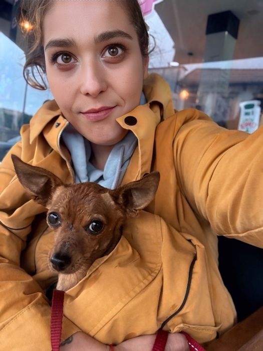 Pet Walker & Pet Sitter