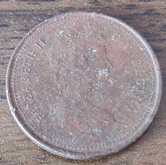 1 Cent Canada 1981 moneta