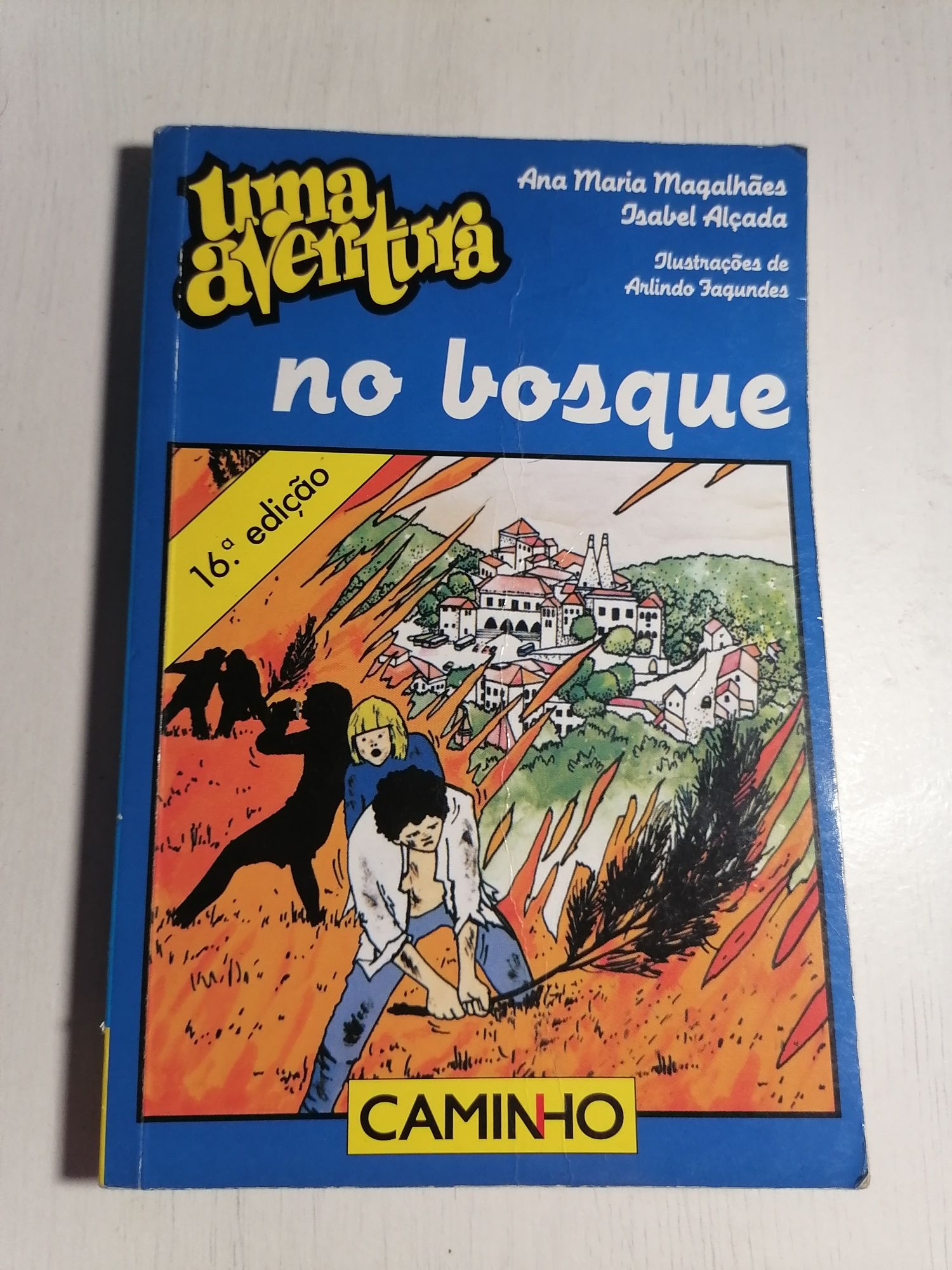 Livro "Uma aventura no Bosque"