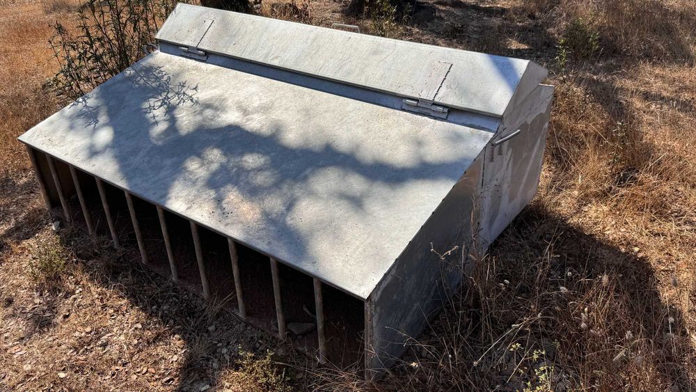 comedouro de porco para bebês