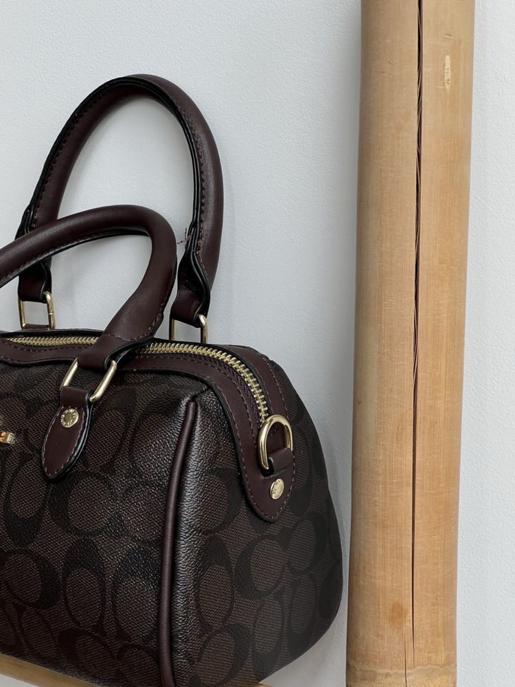 Сумка Coach Mini Rowan Crossbody  In Signature