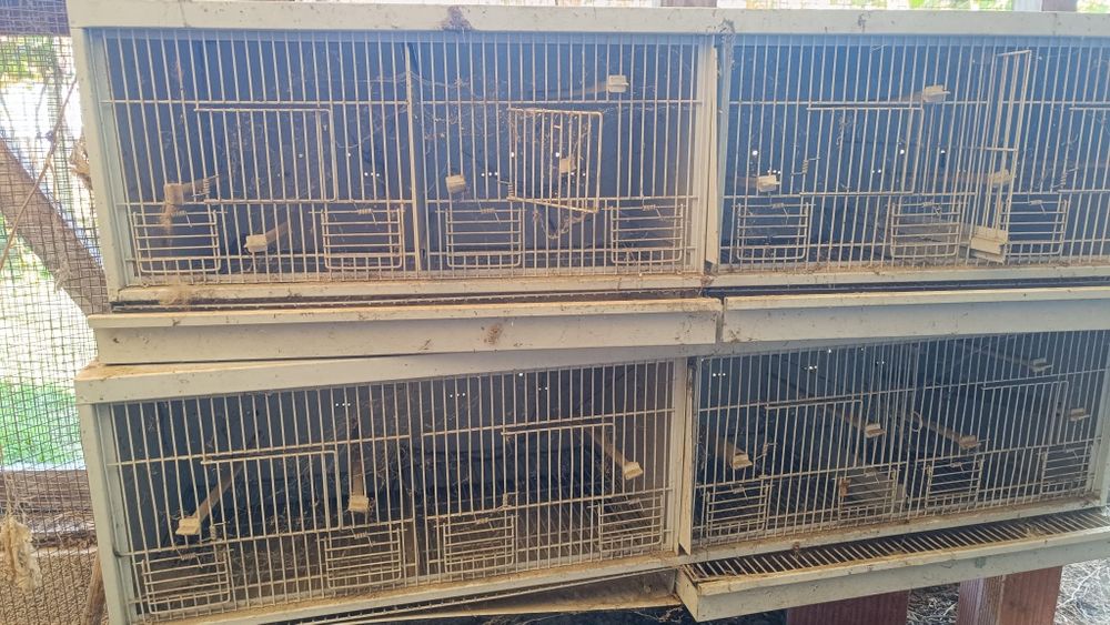 Gaiolas para pássaros