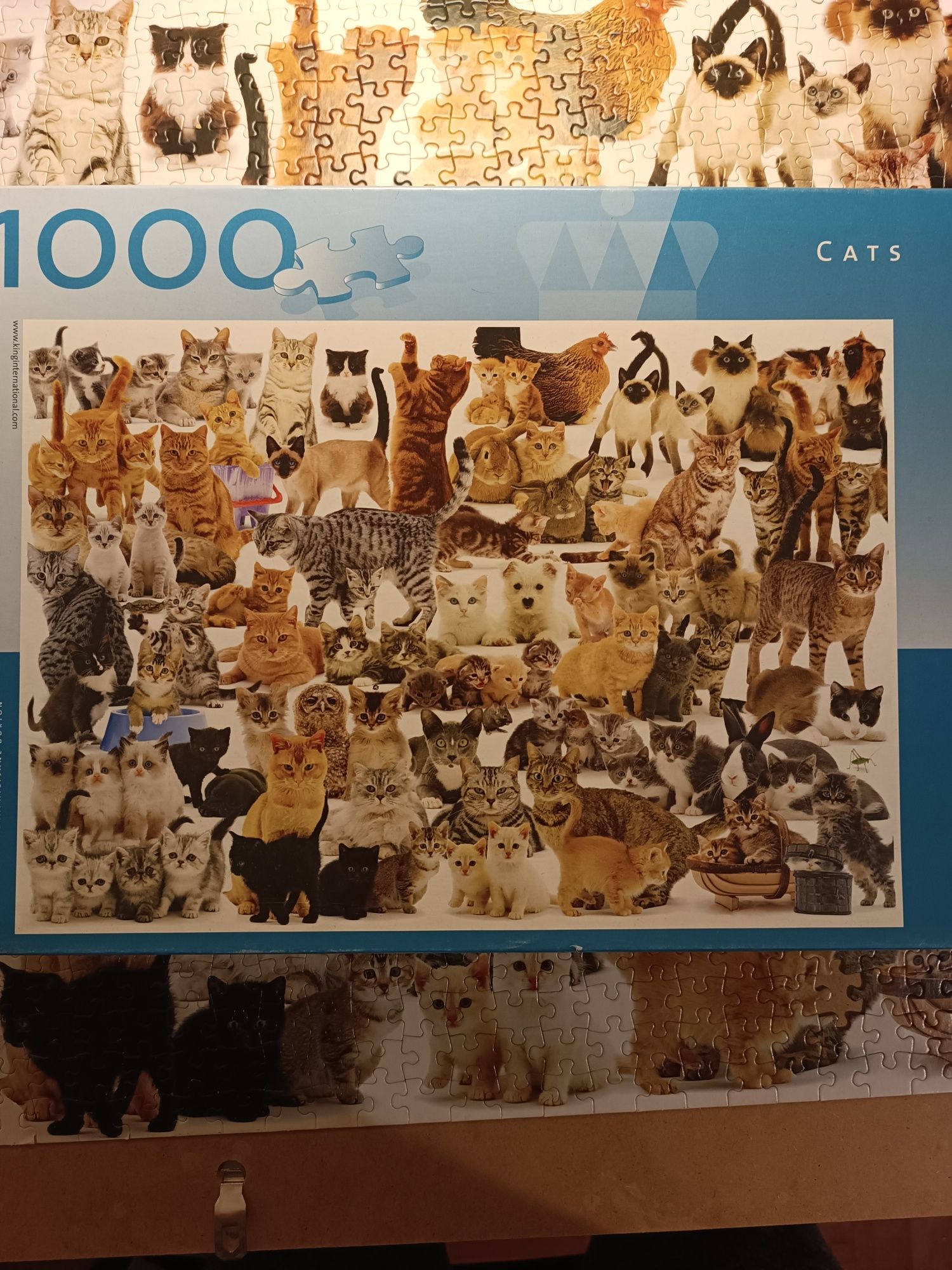 Puzzle koty 1000