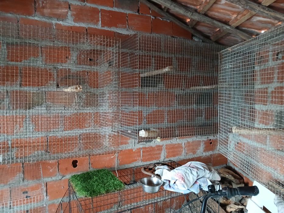 Gaiola grande ou viveiro