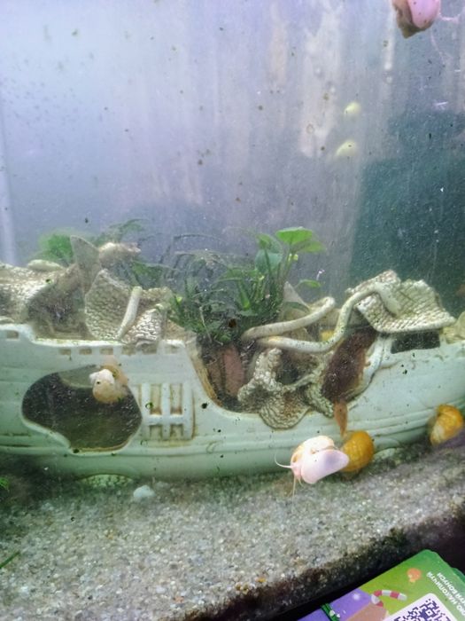 Продам акваріум!