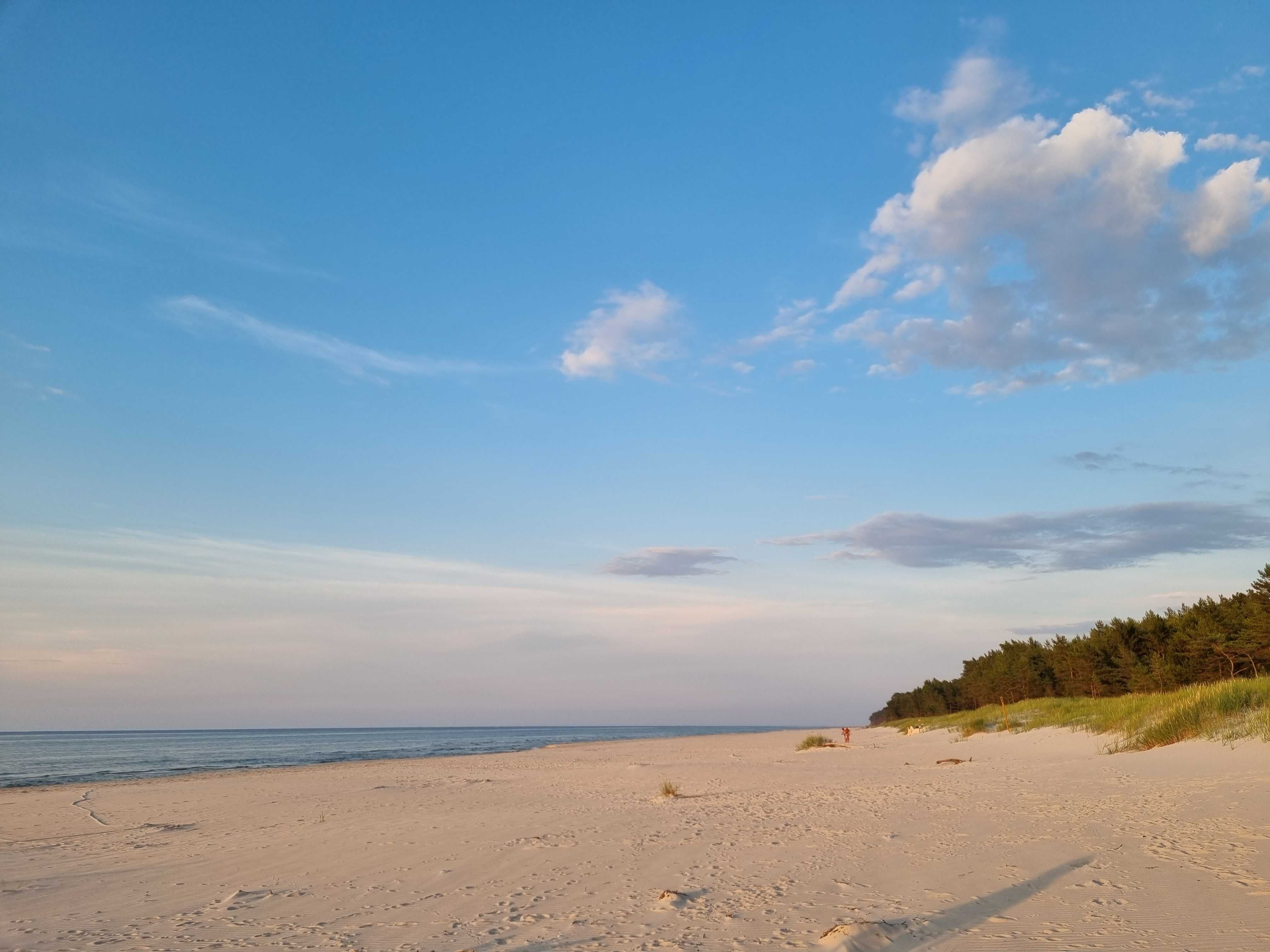 Działka nad morzem 300 m od plaży między Białogóra / Dębki