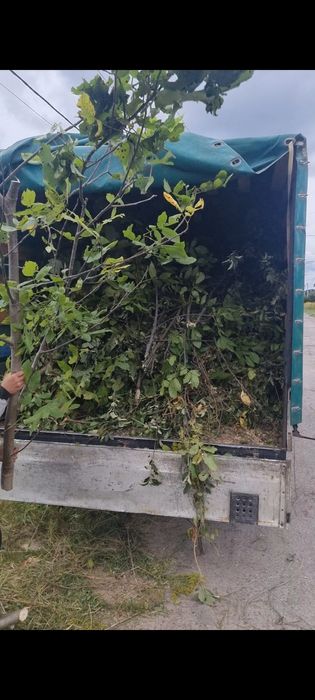 Вивіз сміття, гілок, листя швидко дешево камаз зіл газель