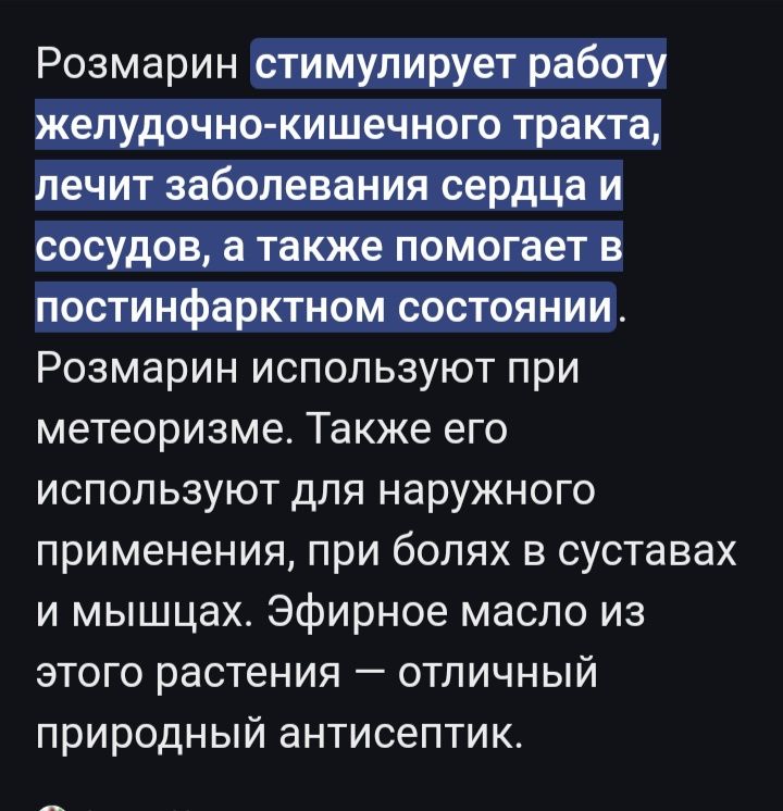 Розмарин и мята мохито рассада пряные травы
