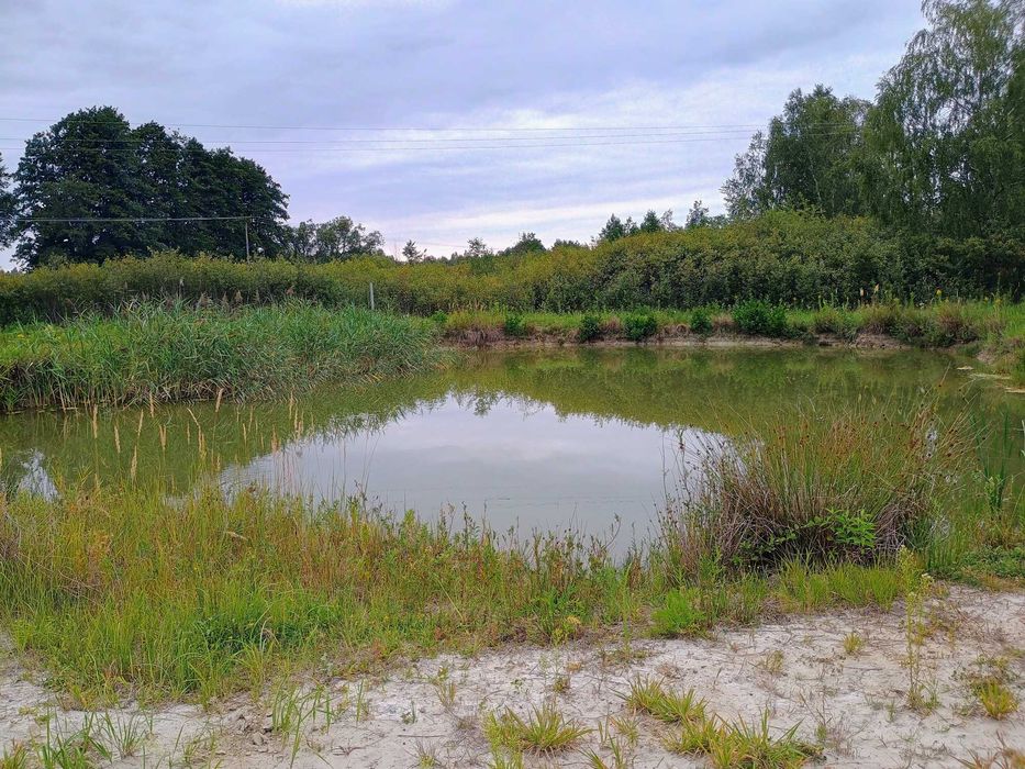 Działka Kolbuszowa Dolna obok ul. Łąkowej, 37 ar, stawek, dojazd