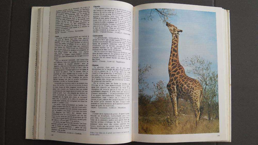 Livro La nouvelle encyclopédie des animaux 1980