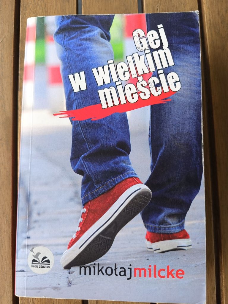Książka "Gej w wielkim mieście" Mikołaj Milcke