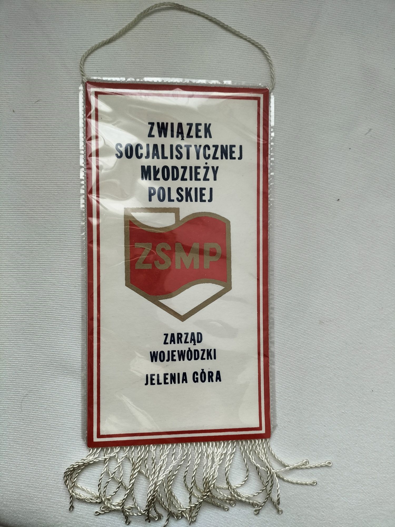 ZSMP Zarząd Wojewódzki w Jeleniej Górze