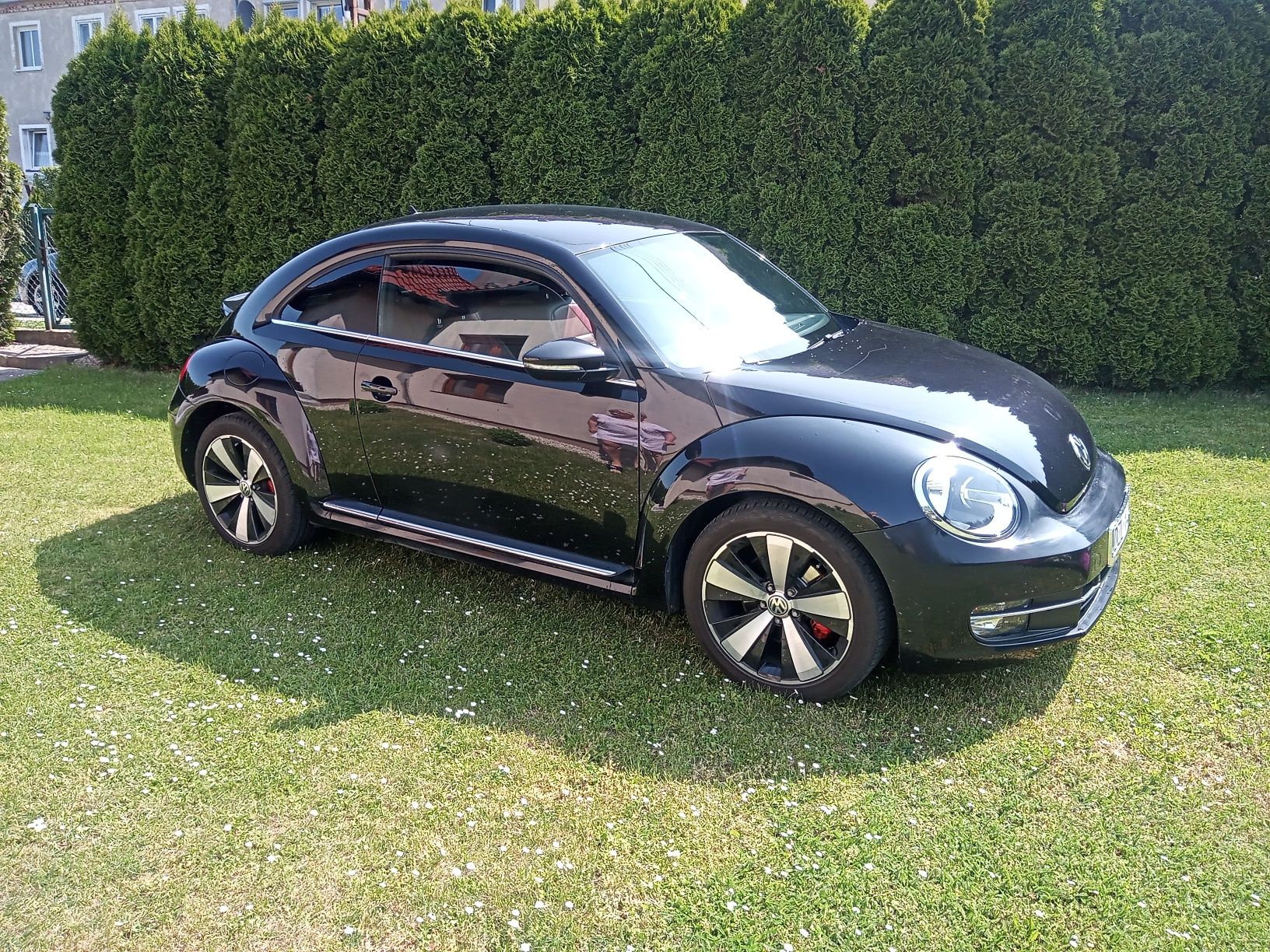 Sprzedam VW Beetle