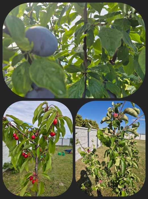 Dzialka Budowlana/uzbrojona/pozwolenie na budowe