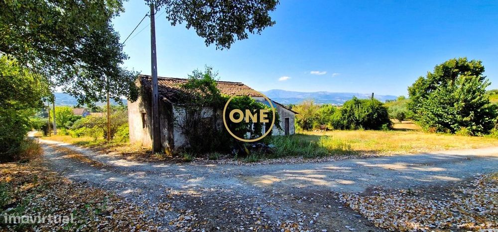 Terreno de 1600m2 com casa devoluta para Venda em Telhado / Fundão