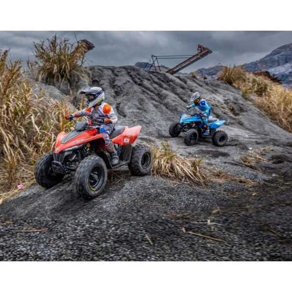 Дитячий квадроцикл CFMOTO CFORCE 110