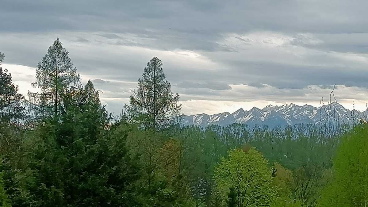 Do wynajęcia pokoje z widokiem na Tatry (Nowy Targ)