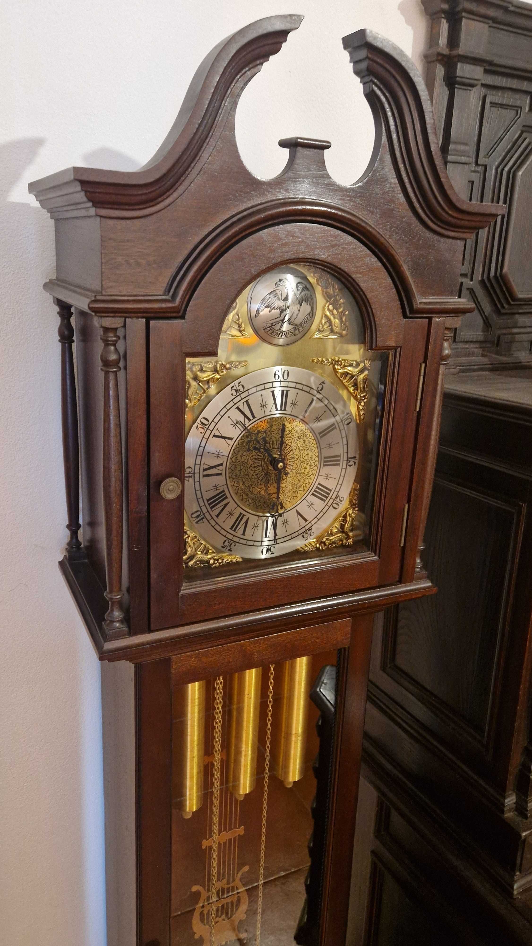Relógio de Pé Alto Tempus Fugit