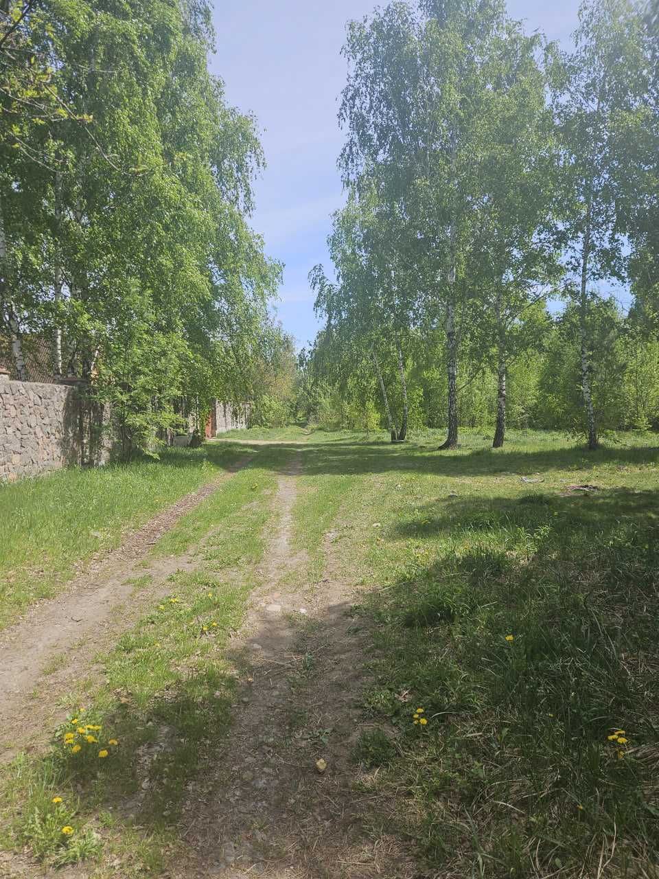 Ціну знижено. Продаж дачі в с.Глехава - 3