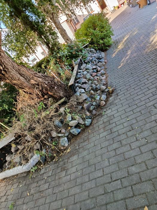 Odam za darmo kamienie na skalniak