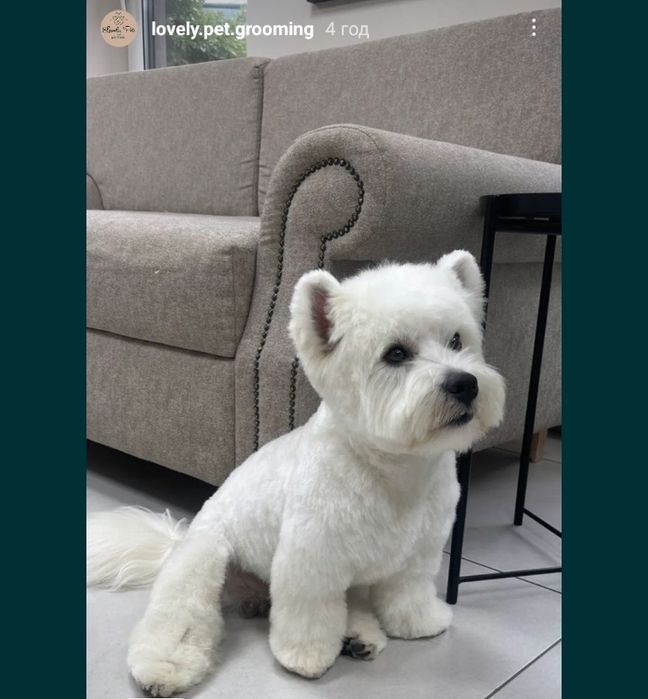 В'язка.Шукаємо наречену