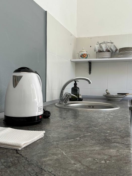 Будиночок у сосновому лісі біля Києва з мангалом і альтанкою