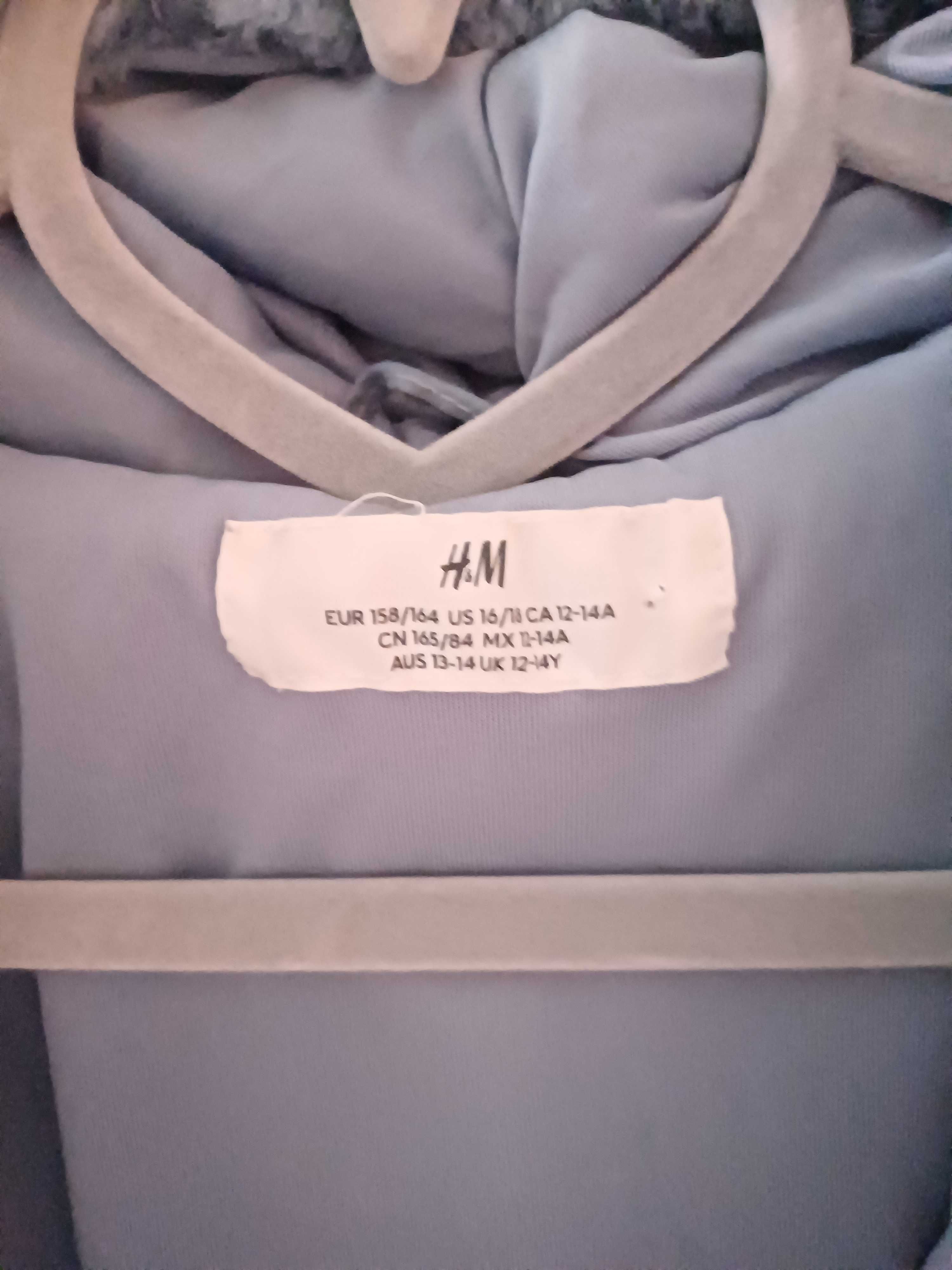 Bluza z misia z kapturem
