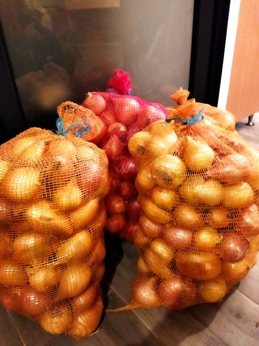 Cebolas Biológicas