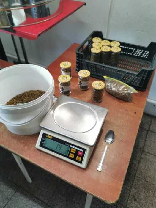 Pierzga pszczela 5kg z własnej pasieki w Stoczku Łukowskim