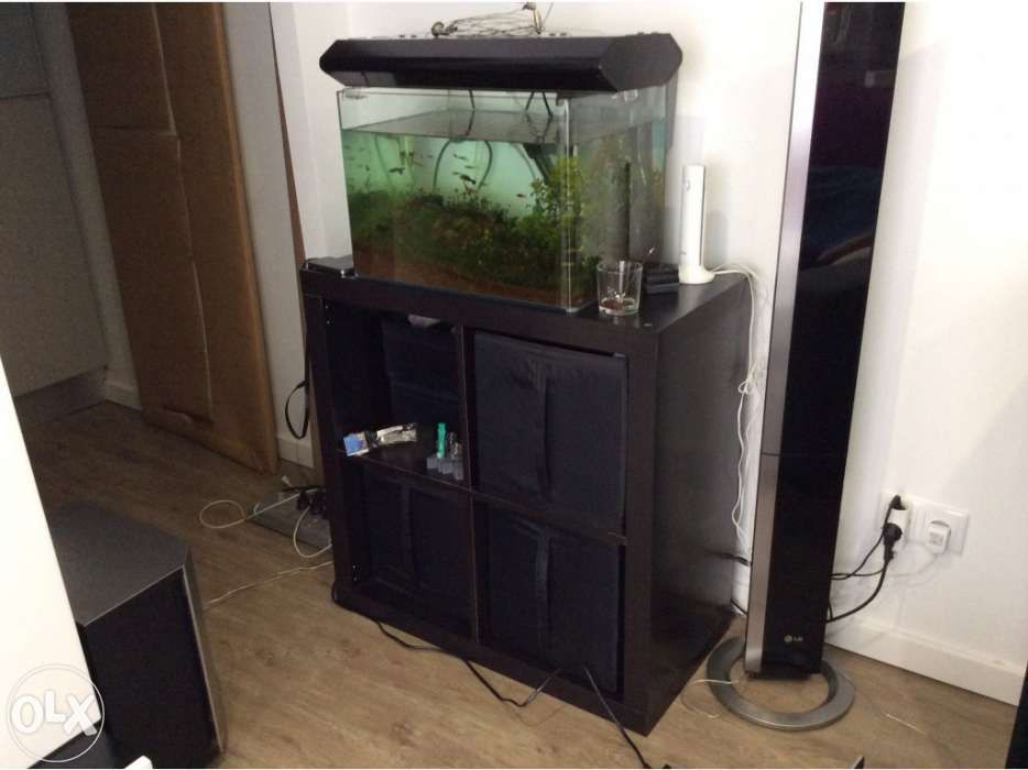 Aquario 50cm sem cantos no vidro frontal