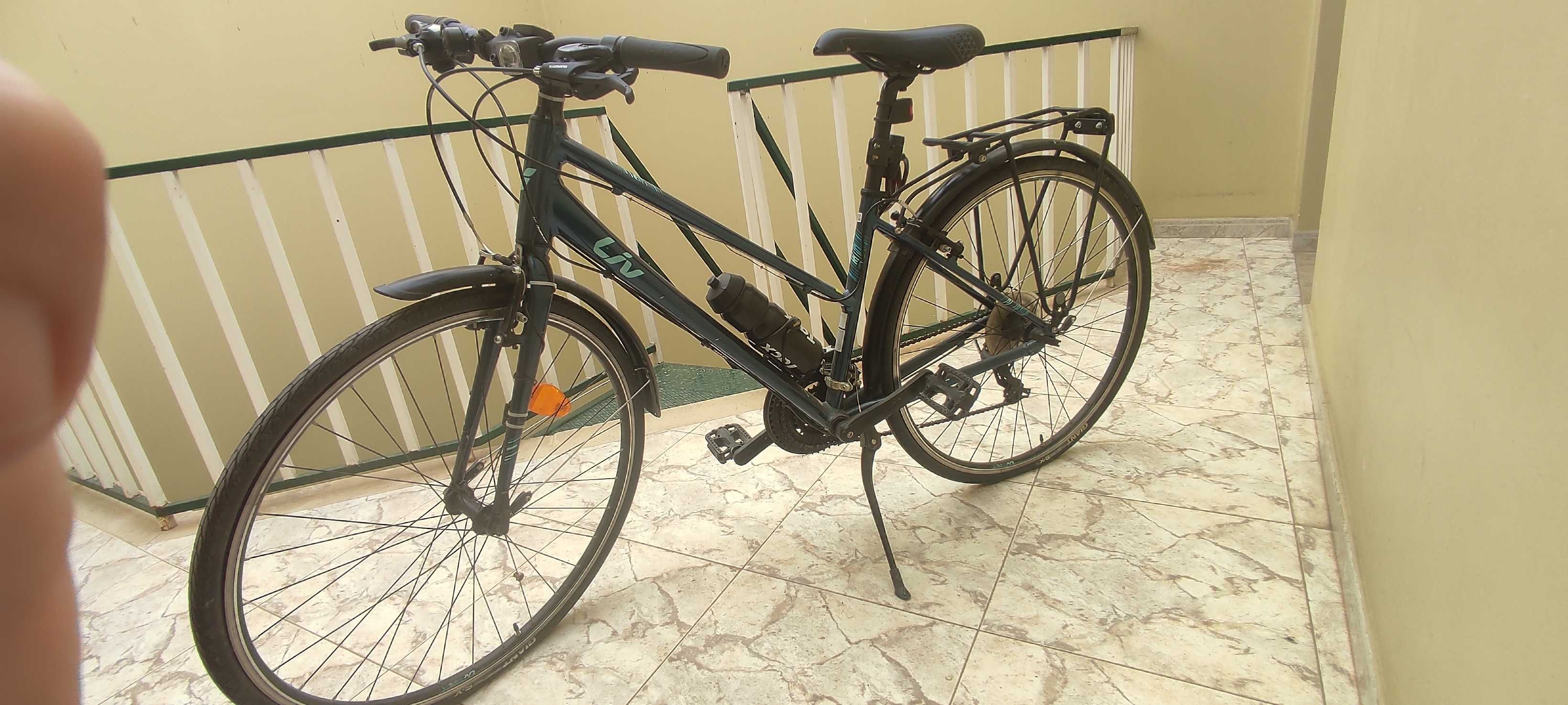Bicicleta vintage