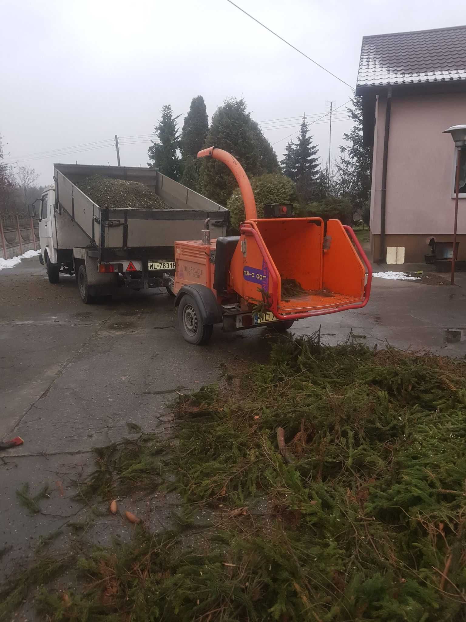 Wycinka Drzew Porządkowanie ogrodów i działek Podnośnik koszowy